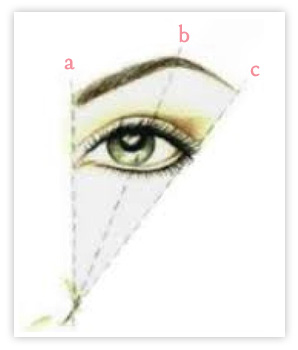 brow-graphic2