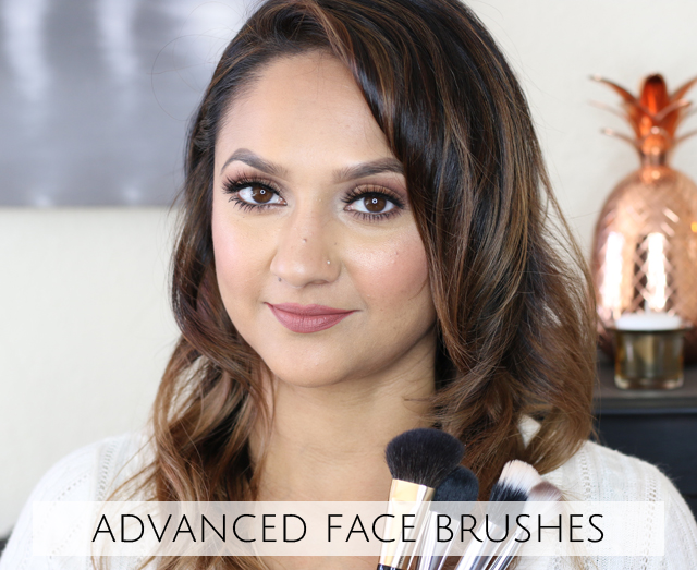 Makeup 101 Advanced Face Brushes