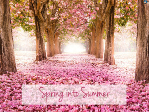 spring into summer beauty